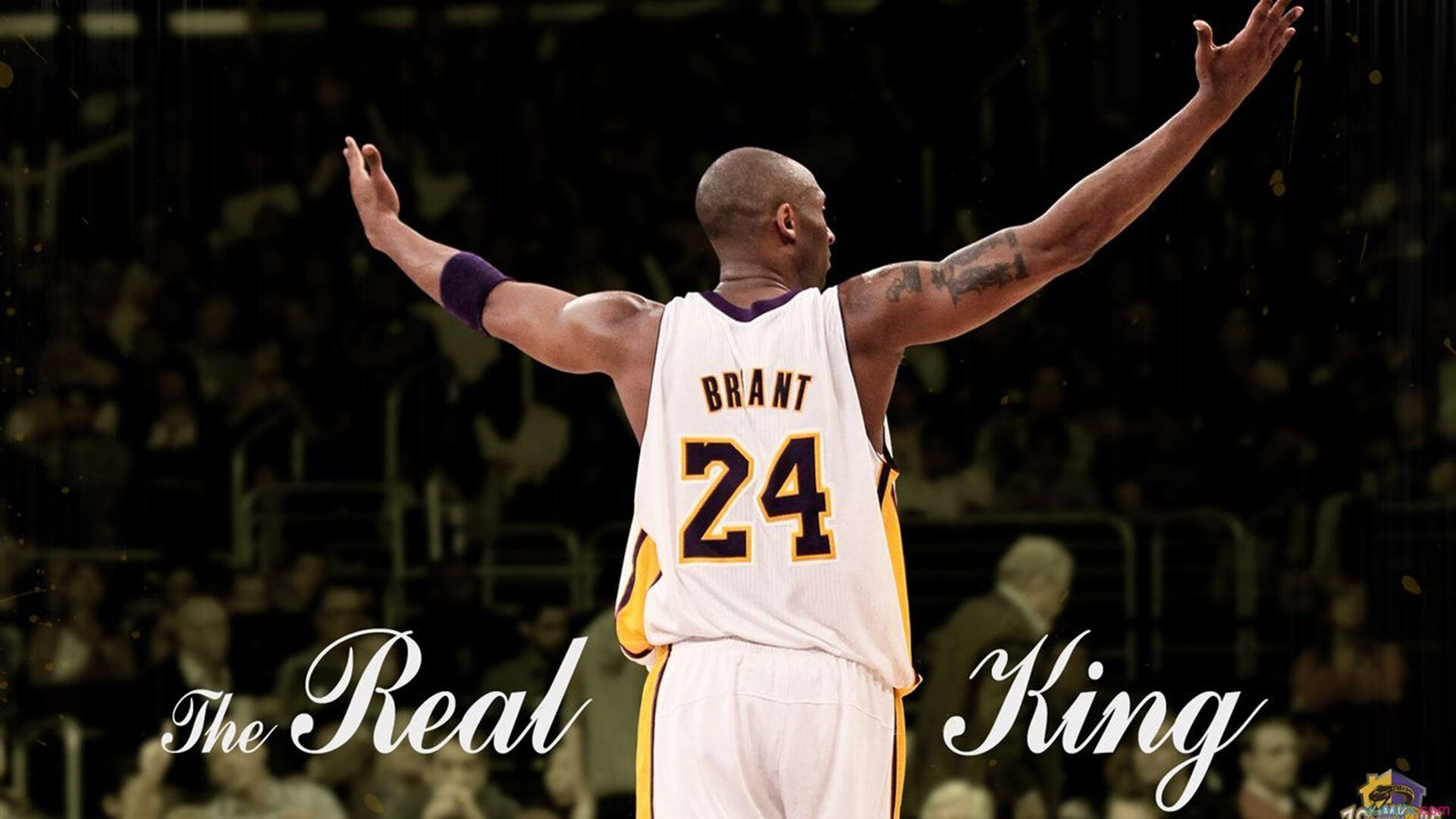 _比赛最后一击：精彩得分瞬间引爆全场_，最后一轮比赛