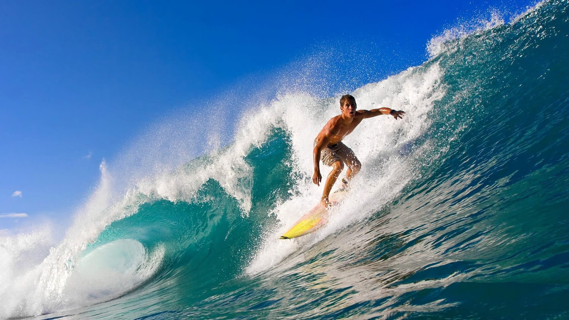 大屏幕上的欢呼声：欧冠夜晚的狂热心情